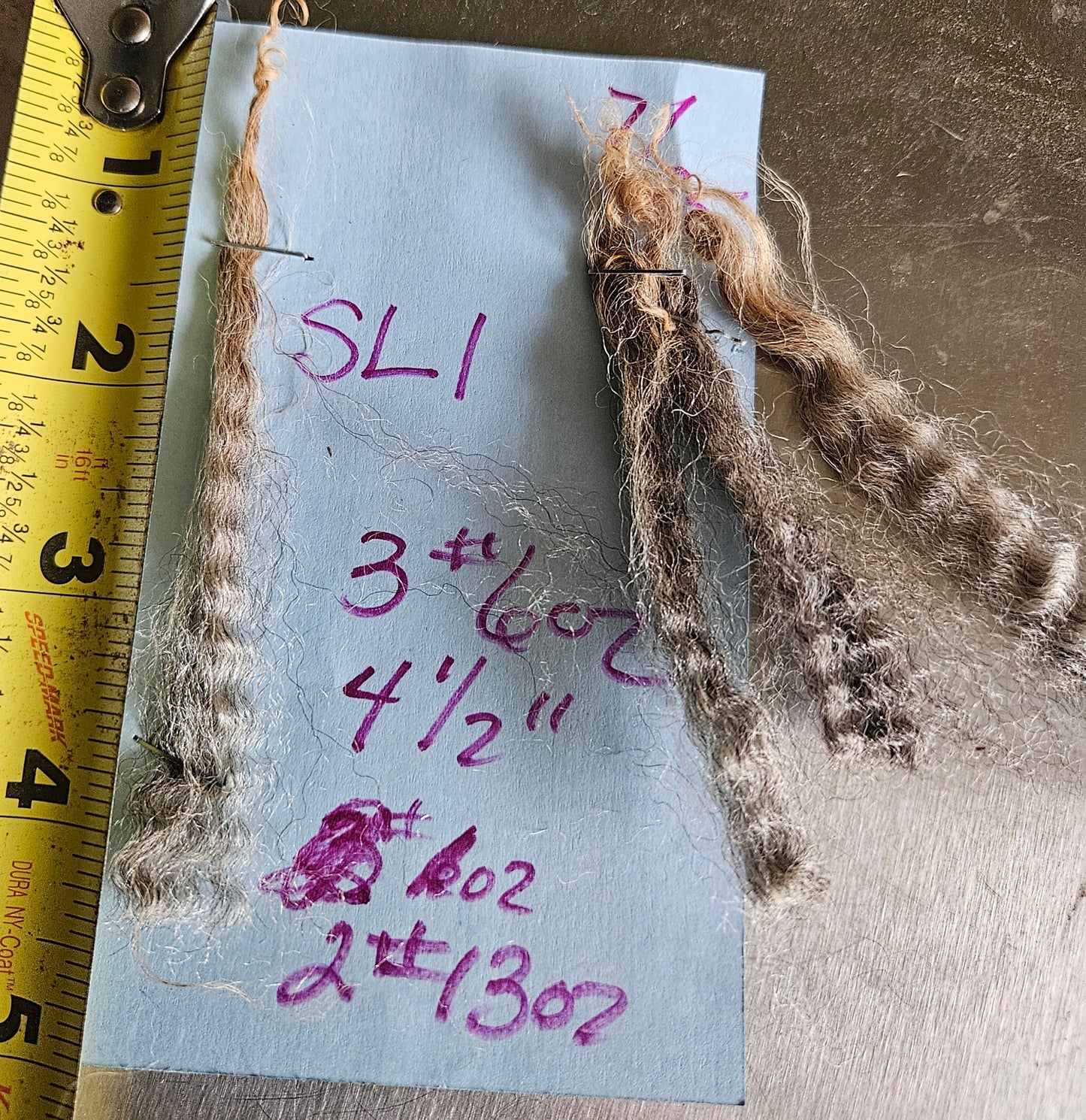 Raw Fleece Romney Silver Ewe Lamb 3L"SL1"