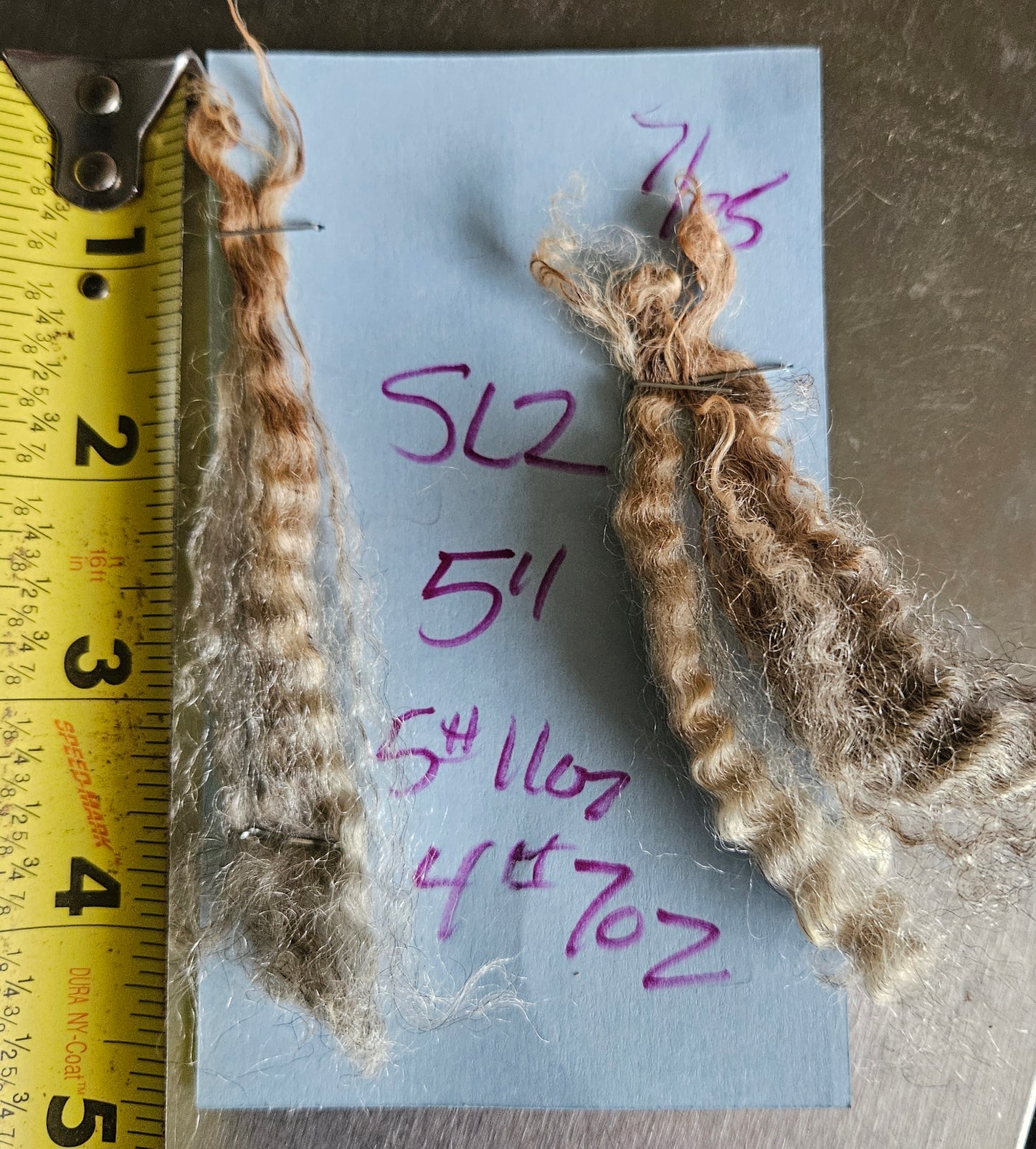 Raw Fleece Romney Silver Ewe Lamb 3L"SL2"