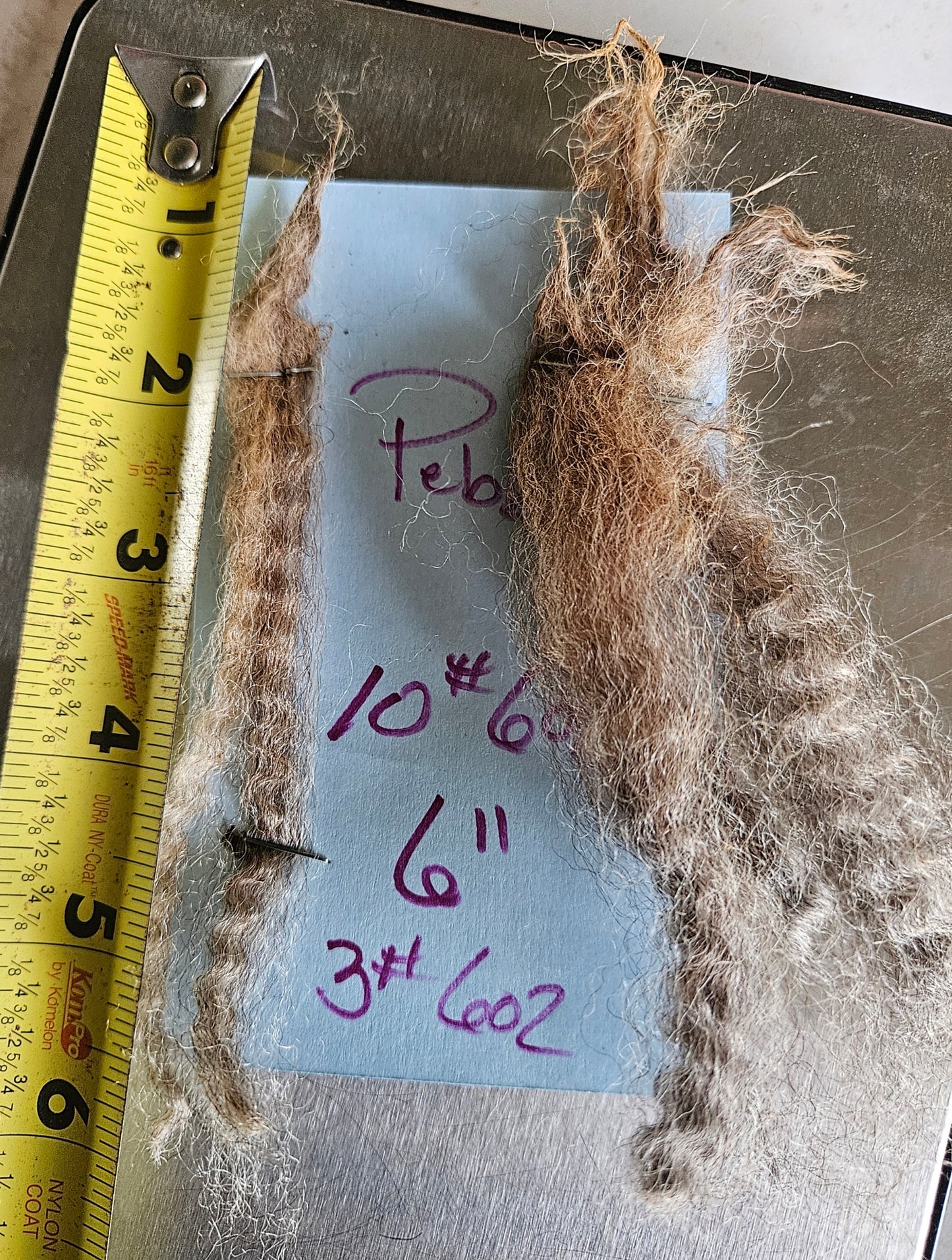 Raw Fleece Silver Romney "Pebbles"