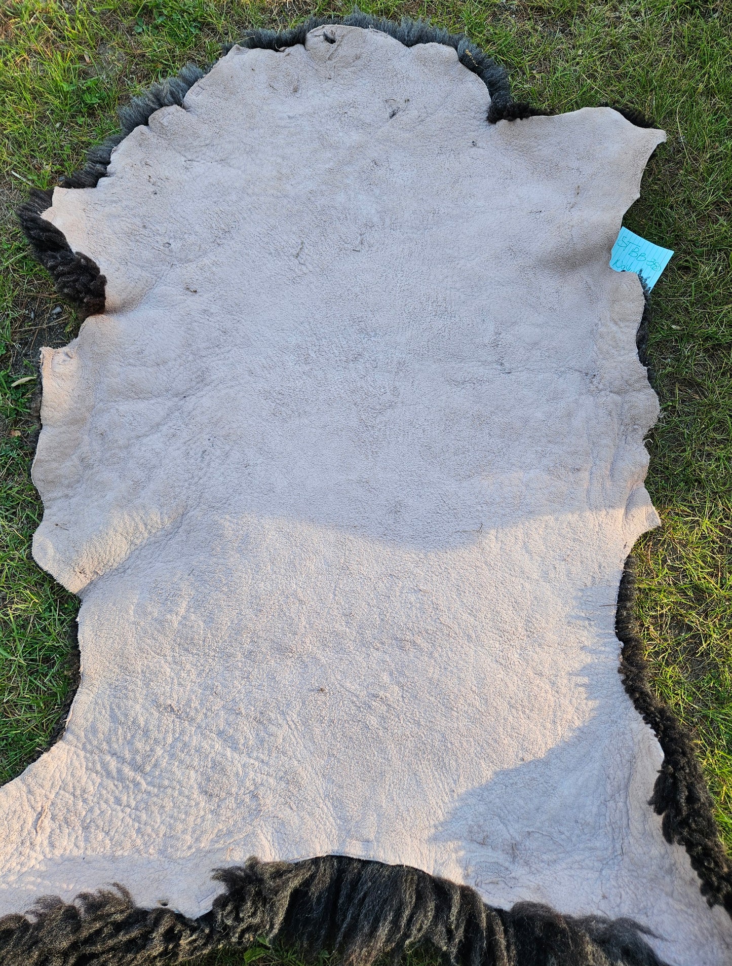 Sheepskin STBB-350 Silver Romney Sheepskin 41 x 30