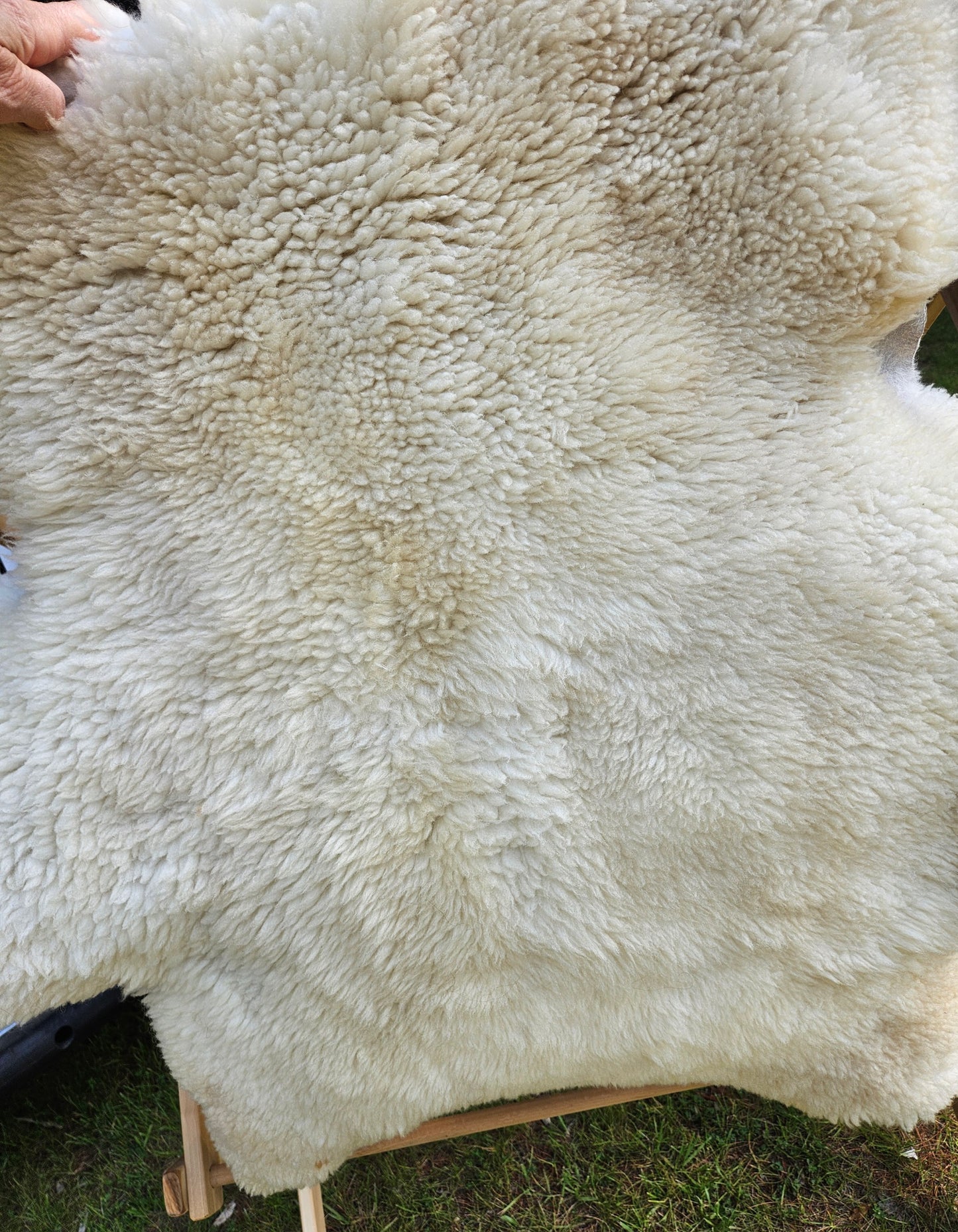 Sheepskin White Romney Stsw300 34"x34"