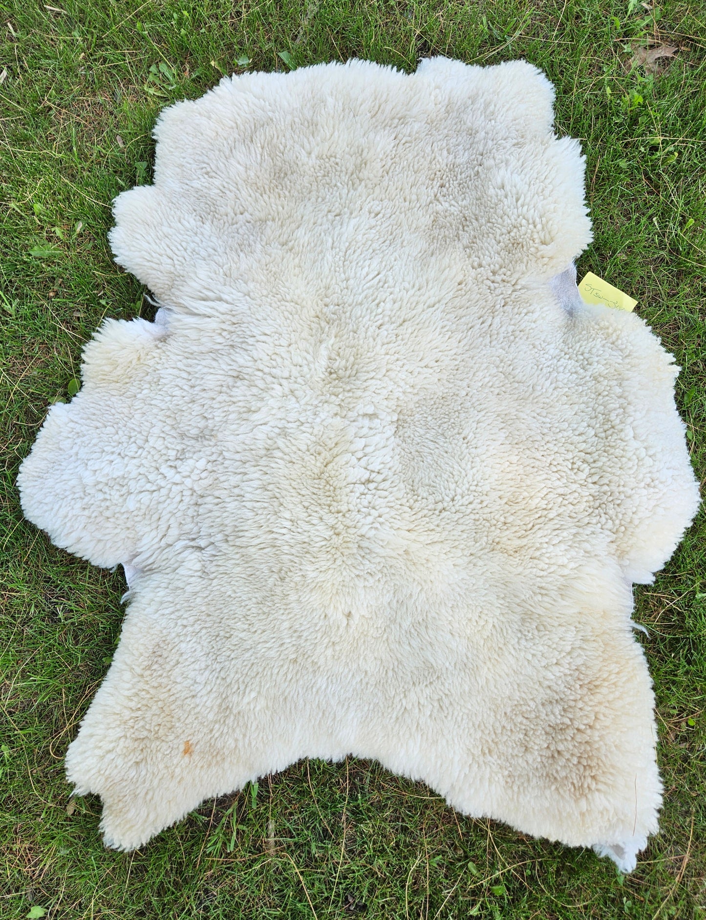 Sheepskin White Romney Stsw300 34"x34"