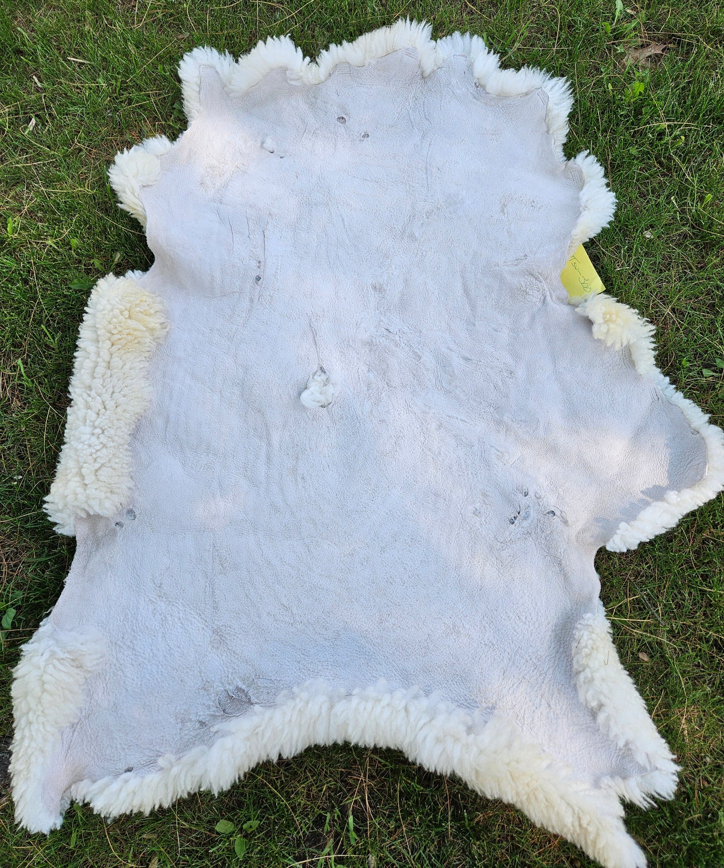 Sheepskin White Romney Stsw300 34"x34"