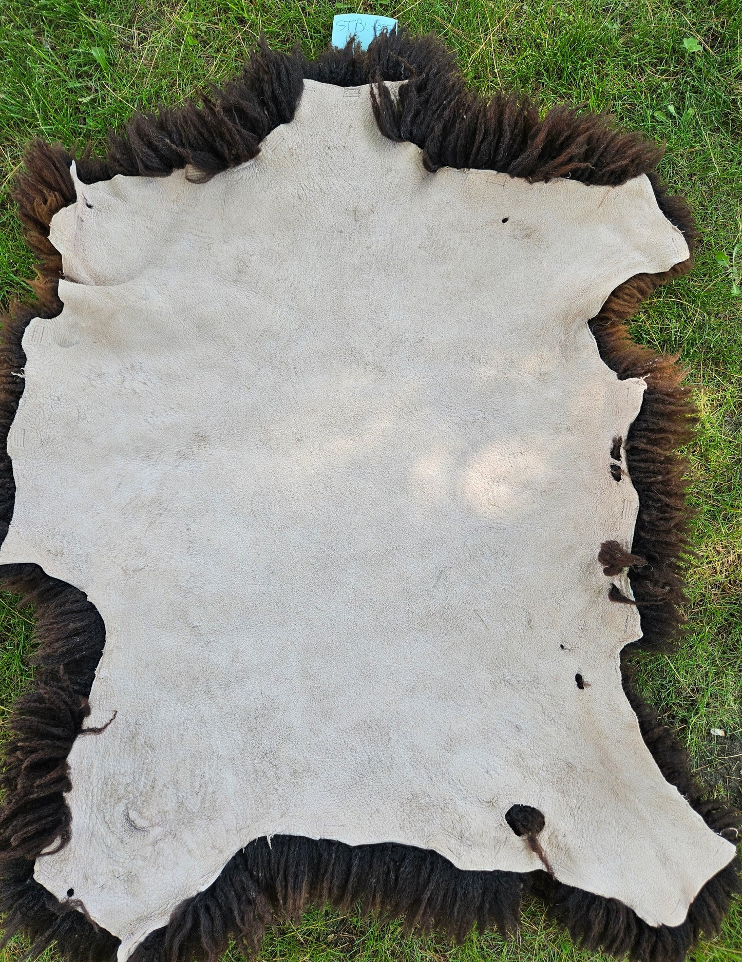 Sheepskin Chocolate Romney STBL325 29 x 26.5"