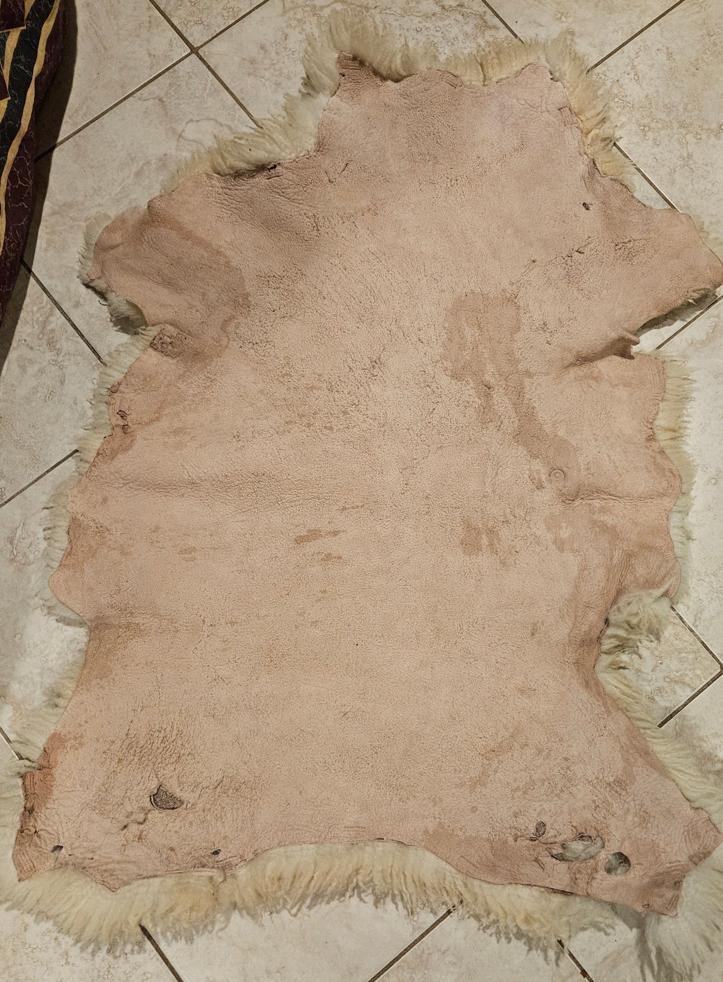 Sheepskin Champaign Romney STCH300- 32" x 25"