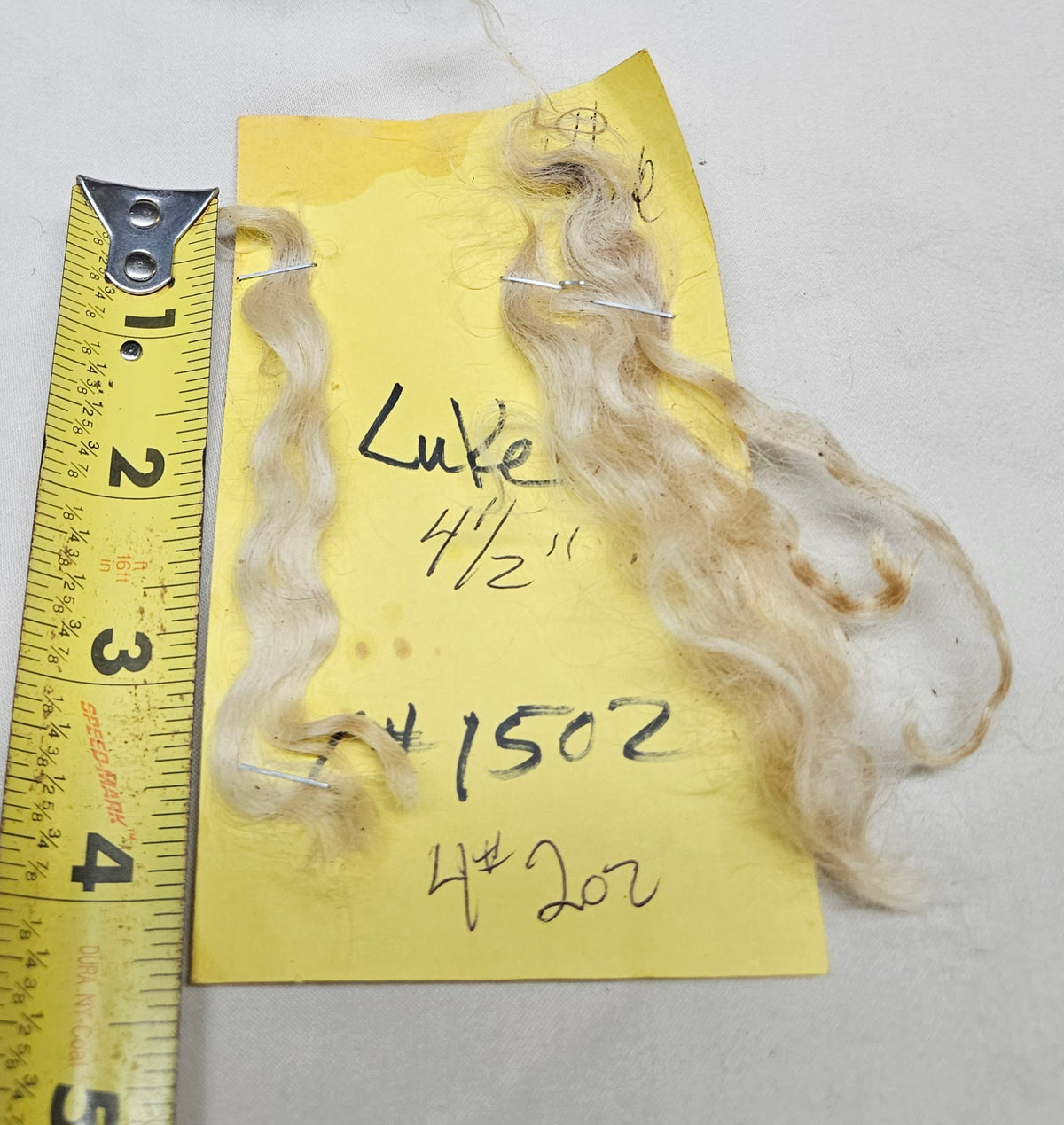 Raw Romney x Teeswater White Wether Fleece Luke