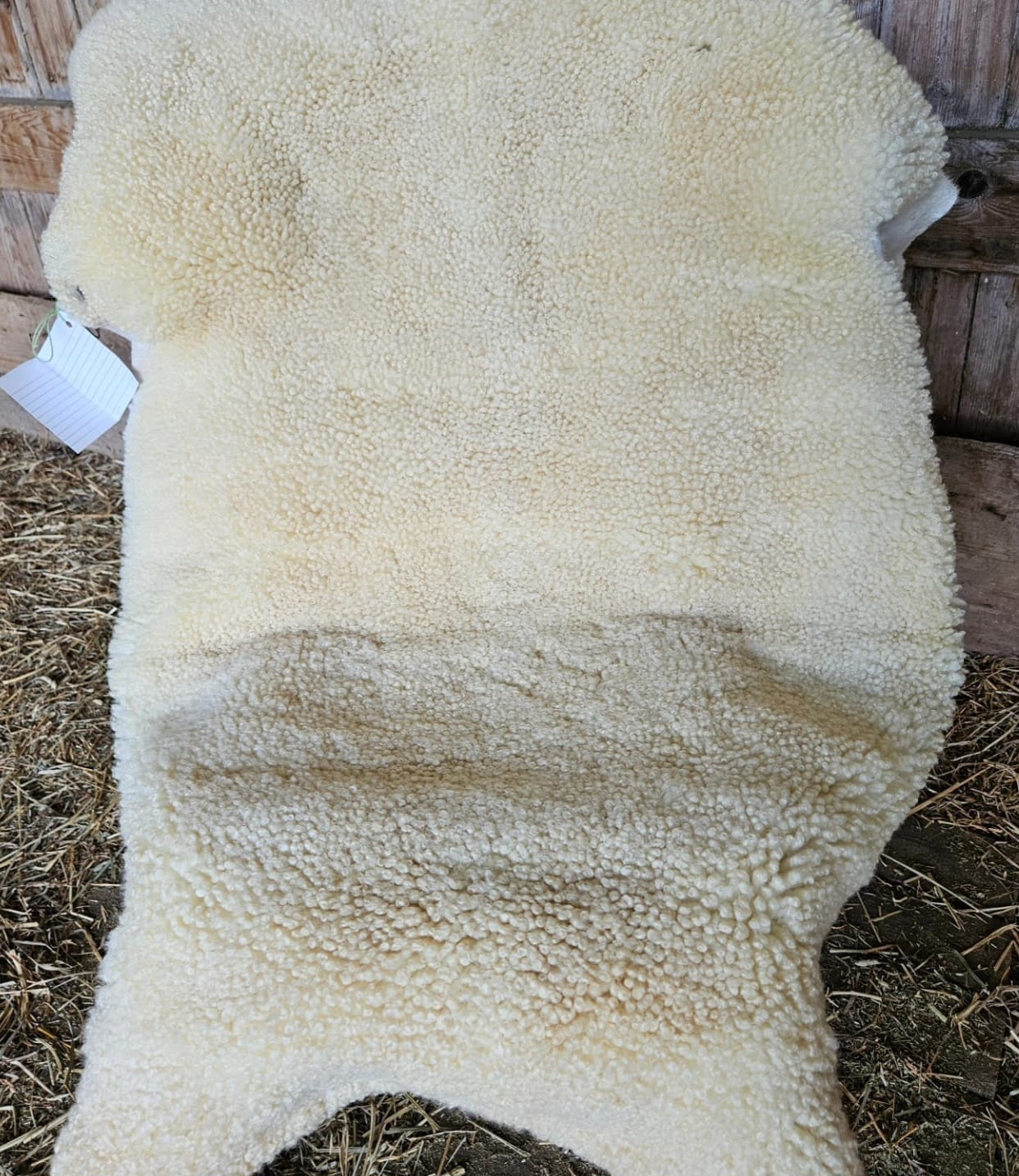 Sheepskin ESWS-275 White Romney- 45" x 35"