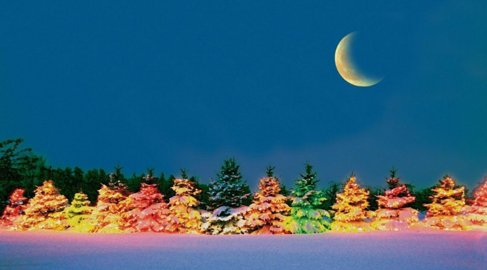 Snowmen On the Beach FIBER ADVENT CALENDER