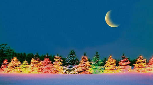 Festive Trees on the Shore FIBER ADVENT CALENDER