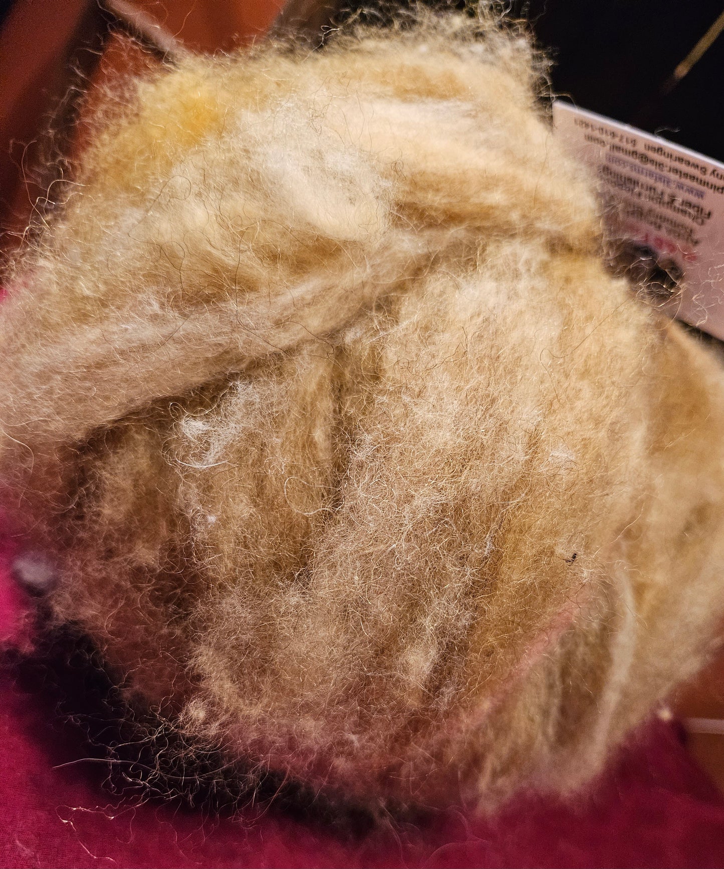 Farm Raised Romney Sheep Wool and Angora blended 70/30 Soft heathered yellow Very Soft Handspinner Ready