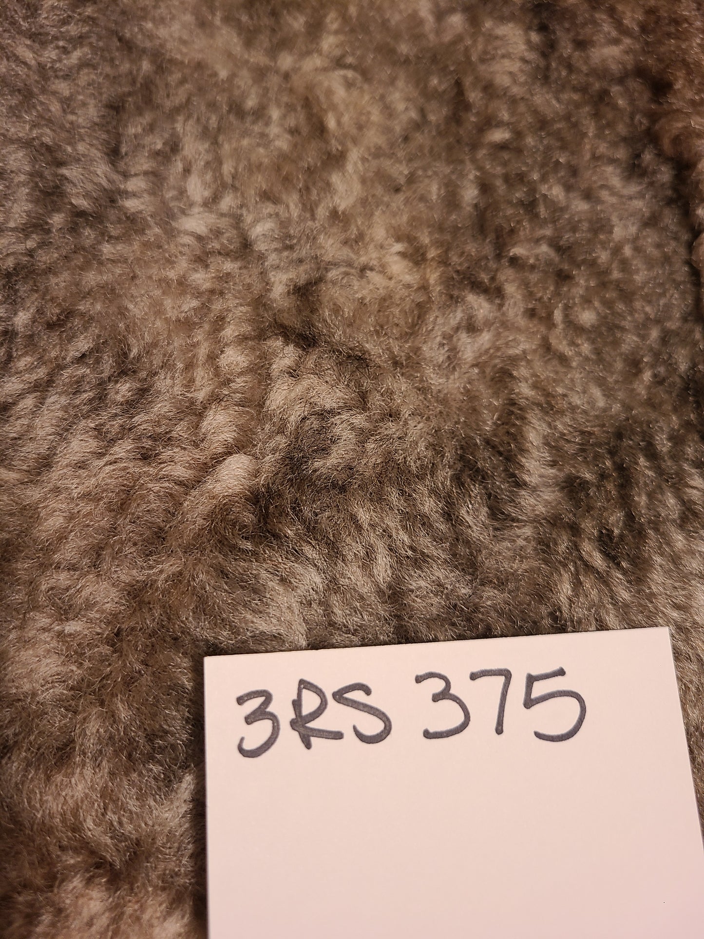 Sheepskin Big Natural Color Silver- Gray Pelt 49 x 37 Inch 3RS375